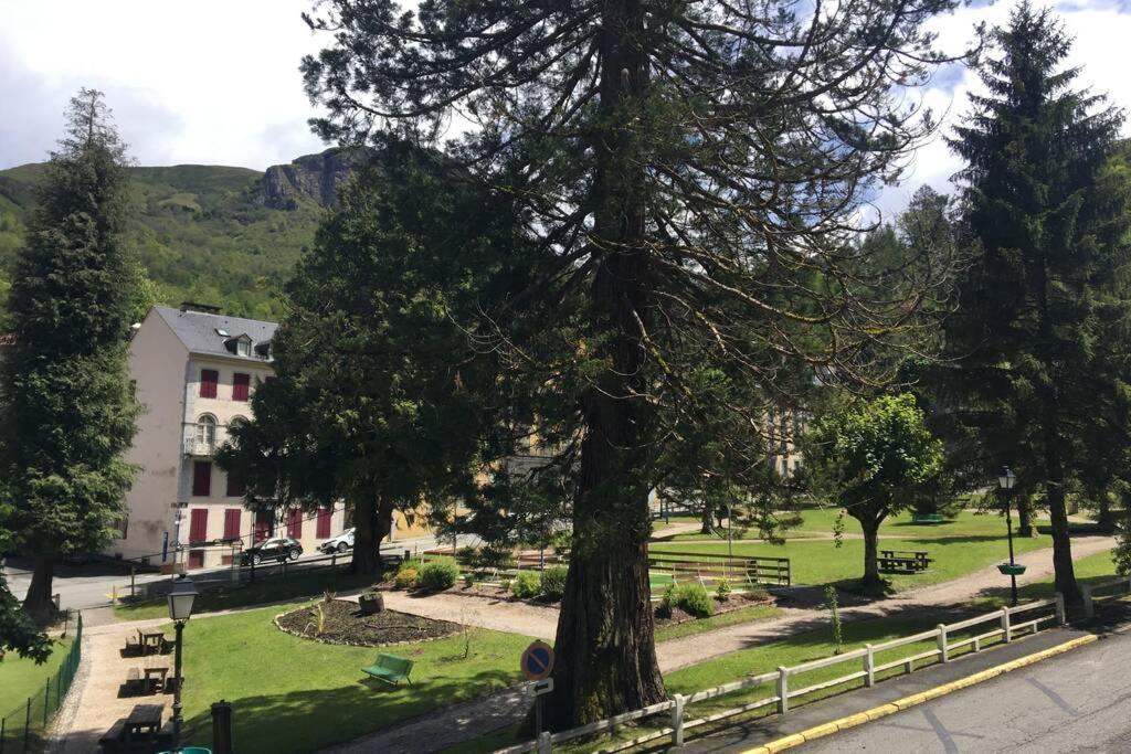 Cocon De La Vallee D'Ossau , Veritable Havre De Paix - 4 A 6 Pers 欧波讷 外观 照片